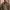 M83 Swiss Military Field Jacket