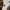 CROCS WHITE M8 FREE JIBBITZ photo 4