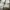 CROCS WHITE M8 FREE JIBBITZ photo 1