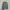 Vintage SPAO Boxy Canvas Work Jacket OG Military