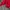 Fila Vintage Windbreaker Pria red photo 5