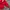 Fila Vintage Windbreaker Pria red photo 4