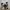 Nike Lebron Soldier XI photo 4