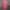 Authentic Lacoste Live Stripe Midi Dress photo 1