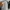 Nike x fear of god double hood hoodie dust sail photo 4