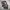 Levis Western Shirt Pattern photo 7