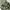 GU Superwide Cargo Pants Olive Green photo 8