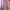 Baggy pants celana pink celana kulot photo 1
