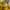 Casual Casual dress Wanita yellow photo 3