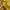 Casual Casual dress Wanita yellow photo 2