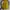 Casual Casual dress Wanita yellow photo 1
