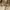 Uniqlo Canvas Marine Two Tone Army Second  photo 6