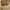 Uniqlo Canvas Marine Two Tone Army Second  photo 8