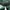 Adidas Sportswear Casual Bag Pria green photo 7