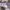 Casual Maxi skirt Wanita purple photo 3
