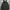 Ellese Winter Jacket
