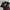 Adidas Casual Sportswear Jersey Pria Burgundy Black