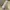 MCM Luxury Casual Crossbody Bag Wanita tan photo 3