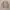 Tracktop Uniqlo Softshell Windproof LightGrey Second M photo 2