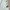 Hoodie Carhartt Spellout - Malt White photo 2