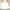 Hoodie Carhartt Spellout - Malt White photo 1