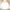 Hoodie Carhartt Spellout - Malt White