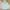 Hoodie Carhartt Spellout - Tourmaline Heather  photo 1