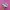 Puma Speedcat Ballet Pink photo 1