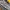 Salomon XT-6 Goretex photo 6