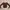 brown long sleeve top rib knit crop ribbed photo 4