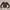 brown long sleeve top rib knit crop ribbed photo 2