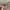 crop top beige kaos nude light cream photo 4