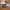 BOLDE Oto Hover photo 4