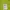 Nike Casual Polo shirt Pria green yellow photo 3