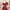 I am starry royal dress in deep red maroon photo 5