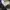 Adidas La Trainer size 41 photo 8