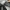 Adidas La Trainer size 41 photo 7