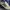 Adidas La Trainer size 41 photo 4