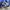 Adidas La Trainer size 41 photo 3