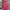 Luxury Prom Dress Wanita Burgundy