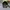 Topi Everlast Boxing Equipment New York  photo 3