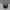 Topi Everlast Boxing Equipment New York  photo 2