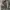 UNIQLO :C Utility Shoulder Bag 2-Way Totebag photo 2