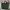 UNIQLO :C Utility Shoulder Bag 2-Way Totebag