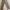 Dickies carpenter pants photo 1