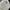Levi’s Lot505 Jeans Pants photo 5