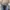 Penahan Lumpur New Vario 150 Vario 125 2018-2019 photo 1