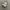 New Balance 327 Trainners Mindful Gray photo 2