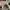 New Balance 327 Trainners Mindful Gray photo 6