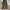 WEGO CARGO PANTS